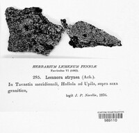 Image Associated With the Occurence